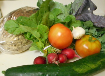 The weekly bounty. Mmm, all those brassica-type leaves...
