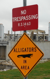 Trespassing ordinance enforced by alligator (taken at pedestrian bridge behind Bonnabel Pump Station)