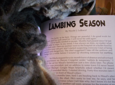 ''Lambing Season'' by Nicole J. LeBoeuf, featuring a lovely variegated wool